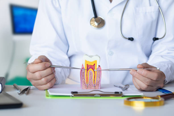 Best Emergency Treatment for Dental Infections or Abscesses in Crompond, NY